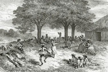 Oogst van Coca, Peru, illustratie uit Le Tour du Monde magazine, 1877