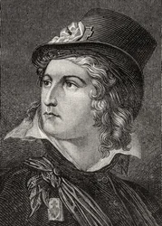 Henri du Vergier, Graaf de la Rochejaquelin, uit 