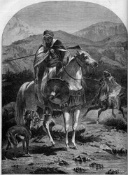 Hazenjacht in Algerije