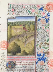 Jager die zich achter een lokaas verbergt tijdens het jagen op een hert, uit het Livre de la Chasse door Gaston Phebus de Foix (1331-91)