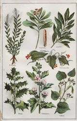 Illustratie uit "mon docteur - traite de medecine et d
