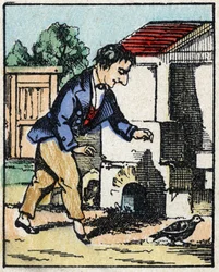 Illustratie van het verhaal 