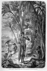 Illustratie gepubliceerd in de editie van 1862 van 