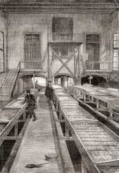 Interieur van een 19e-eeuwse viskwekerij in Huningue, Frankrijk, uit Les Merveilles de la Science, gepubliceerd ca. 1870