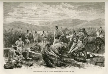 De visvangst van bloedzuigers, tekening door Sahib, ter illustratie van het verhaal van Henri Belle: Reis naar Griekenland