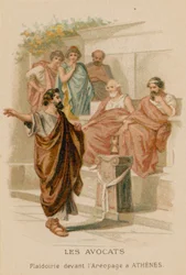 Advocaten