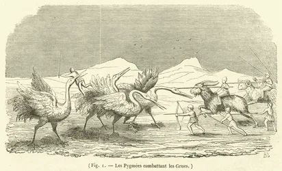 De Pygmeeën vechten tegen de Kraanvogels