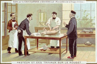 Louis Pasteur (1822-95) werkend aan het onderzoek naar mazelen, reclamekaart voor de Chocolaterie d
