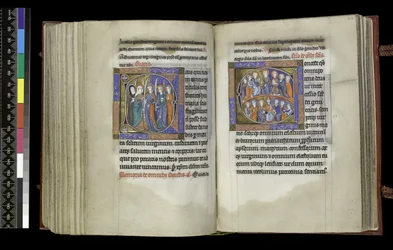 Suffragie voor Maagden en Alle Heiligen (uit de Psalter en Uren van Isabella van Frankrijk)