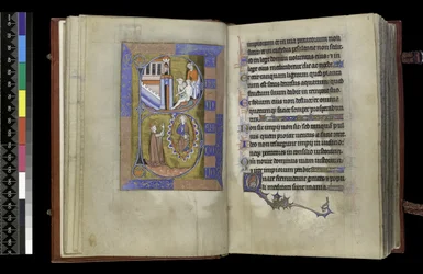 MS 300 f.XIII-1r, uit de Psalter en Getijden van Isabella van Frankrijk, Parijs, ca. 1265-70
