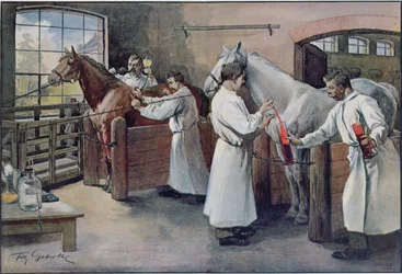 Maken van difterie serum uit paardenbloed, uit Les Animaux, c.1900