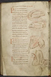 Verzameling werken over computus en astronomie, Royal MS 13 A XI