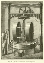Molen voor het pletten van oliehoudende zaden
