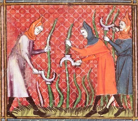 Ms 1044 f.120 Bomen Kappen, uit Ovide Moralise geschreven door Chretien Legouais