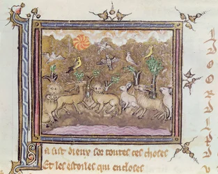 Ms 1044 fol.18 De Schepping van de Dieren, uit Ovide Moralise geschreven door Chretien Legouais