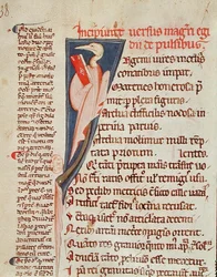 Ms 2046 fol.438 Een vogel die een boek vasthoudt door Gilles de Corbeil (1165-1222) uit 