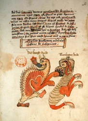Ms 3880 Illustratie uit 