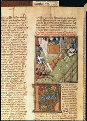 De marteling van Brunhilda uit Des Hommes Illustres, c.1460