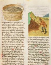 Ms. De Diversis Herbis door Dioscorides, fol.8r Zaden in een Kuip en Zoeken naar Gentiaanwortels