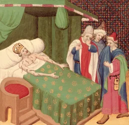 Het gebruik van bloedzuigers, uit De Decamerone, door Giovanni Boccaccio (1313-75)