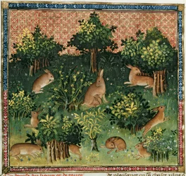 Hazen in een Bos, uit het Livre de la Chasse van Gaston Phebus de Foix