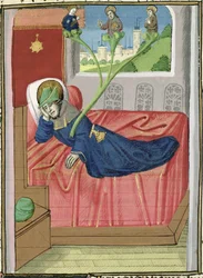 Ms H 7 fol.145r De Boom van Jesse, uit de Bijbel van Jean XXII