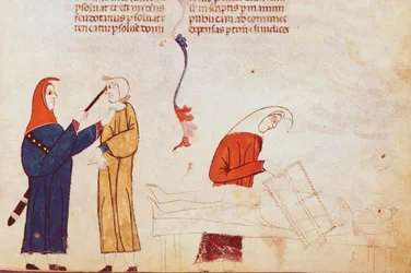 Martelscène, uit Les Coutumes de Toulouse