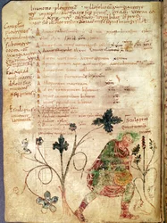Aesculapius ontdekt betonie, uit een manuscript van Antonius Musa (63 v.Chr.-14 n.Chr.)