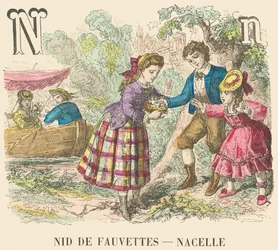 Nest van fauvettes - Draagmand