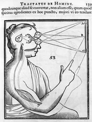 Oftalmologie: het oog en het zicht. Uit 