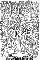 Organigram dat de organisatie van de regering in Frankrijk in de 16e eeuw toont, 1579
