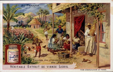 Panama: vlechten van panamahoeden - chromo. Liebig