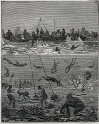 Parelvissers in Ceylon (het huidige Sri Lanka) in de 19e eeuw. Gravure uit 1885 in Les arts et métiers illustrés door Adolphe Bitard.