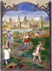 Boeren die gras maaien