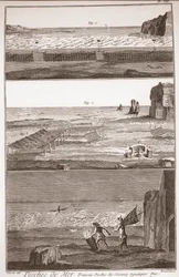 Peche de Mer - Trameau - Waterbird Fishing - 