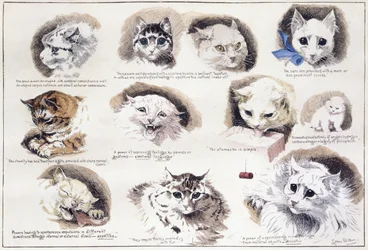 Plattegrond van de Mazas-gevangenis en cellen voor gevangenen, Boulevard Mazas, Parijs