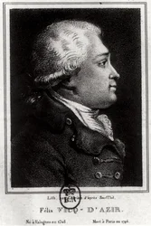 Portret van Felix Vicq d