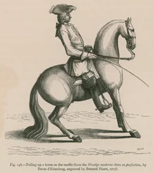 Een paard optrekken aan de teugel (uit Manege moderne dans sa perfection, door Baron d