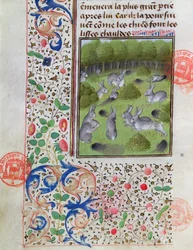 Konijnenhol, uit het Livre de la Chasse door Gaston Phebus de Foix (1331-91)