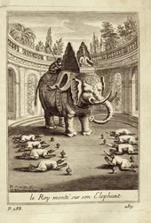 Koninklijke olifanten, uit Voyage du Siam des Peres Jesuites door Guy Tachard, 1688