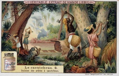 Rubber: insnijding van rubberbomen - chromo Liébig