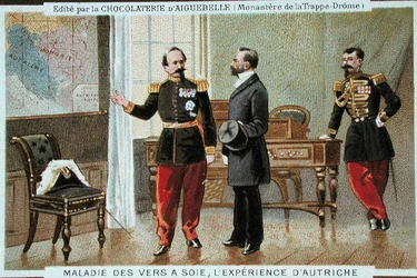 Zijderupsenziekte in Oostenrijk, reclamekaart voor de Chocolaterie d