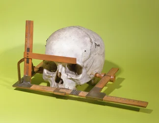 Schedel in een gezichts-goniometer geconstrueerd door Paul Broca (1824-88) (hout & koper)