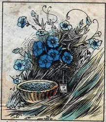 Textiel, linnen. Vlasbloem (blauw), stengel samengesteld uit stro en filamenten om linnen garen te maken. Zaad gebruikt in de geneeskunde en waarvan olie wordt gewonnen voor de industrie. Gravure.