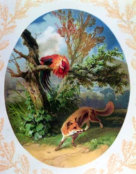 De haan en de vos, illustratie naar de fabel van Jean de la Fontaine (1621-95) ca. 1860-80