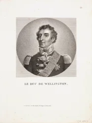 De hertog van Wellington
