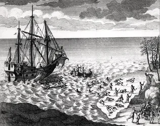 De pelikaan zinkt nabij de kust, uit Histoire de l