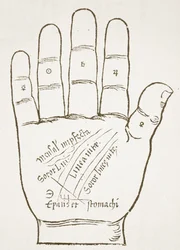 De Rechterhand, Hoofdlijnen, kopie van een illustratie uit Chiromantia door Ioannes ab Indagine, 1531, gebruikt in Geschiedenis van de Magie, gepubliceerd eind 19e eeuw