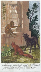 De wolf, de vos en de aap, uit 