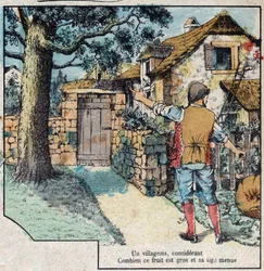 De eikel en de pompoen. Fabels van Jean de La Fontaine (1621-95). Epinal afbeelding eind 19e eeuw.